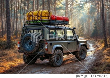 Rugged SUV on Forest Trail with Colorful Travel Bags Securely Fastened on Roof Rack 134796516