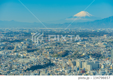 （神奈川県）横浜ランドマークタワーから眺める横浜の街並みと富士山 134796657