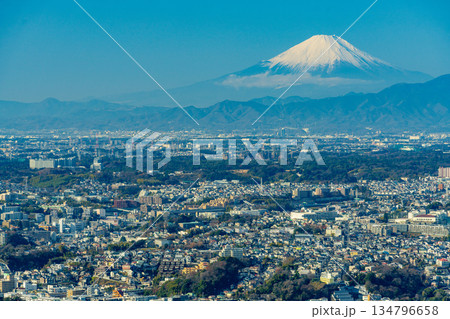 （神奈川県）横浜ランドマークタワーから眺める横浜の街並みと富士山 134796658