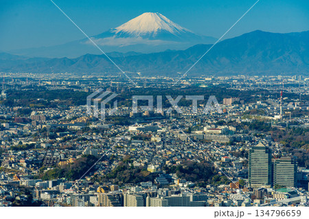 （神奈川県）横浜ランドマークタワーから眺める横浜の街並みと富士山 134796659