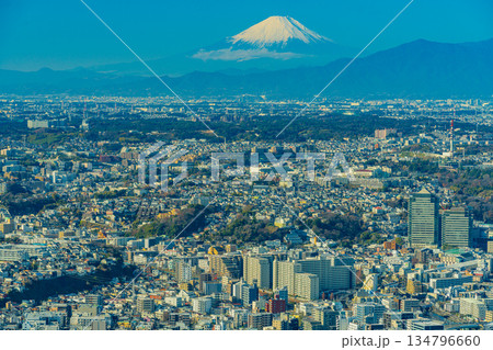 (神奈川県)横浜ランドマークタワーから眺める横浜の街並みと富士山 (神奈川県)横浜ランドマークタワーから眺める横浜の街並みと富士山 134796660