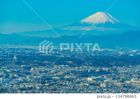 (神奈川県)横浜ランドマークタワーから眺める横浜の街並みと富士山 (神奈川県)横浜ランドマークタワーから眺める横浜の街並みと富士山 134796663