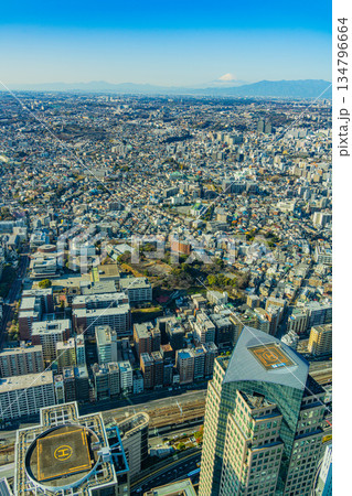 （神奈川県）横浜ランドマークタワーから眺める横浜の街並みと富士山 134796664
