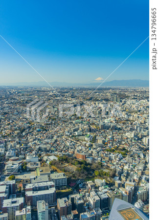 (神奈川県)横浜ランドマークタワーから眺める横浜の街並みと富士山 (神奈川県)横浜ランドマークタワーから眺める横浜の街並みと富士山 134796665
