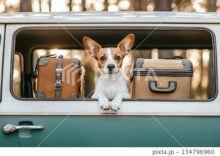 Family Road Trip Adventure with Dog and Luggage in Retro Van Setting Family Road Trip Adventure with Dog and Luggage in Retro Van Setting 134796960