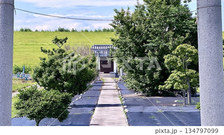 埼玉県羽生市の白山神社 134797099