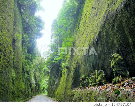 熊本県山鹿市　岩隅山の切通と地蔵 134797104