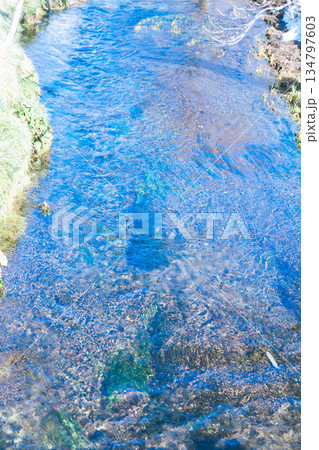冬の忍野八海 134797603