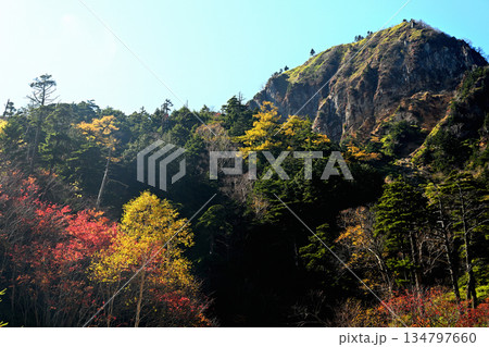 紅葉に染まる金精山 134797660