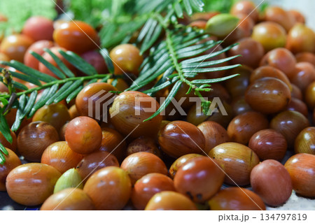 カヤの実 134797819