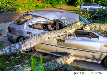 Large tree has fallen on parked car, damaging roof, blocking part of road in neighborhood. 134797876