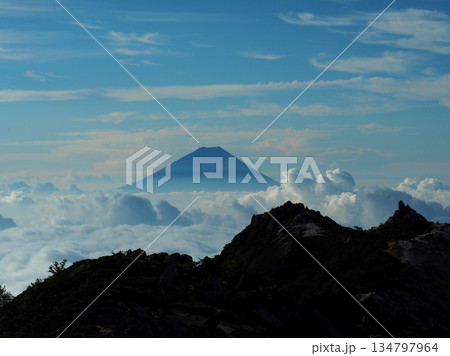 【山の風景】雲海に浮かぶ富士山（鳳凰三山から） 134797964
