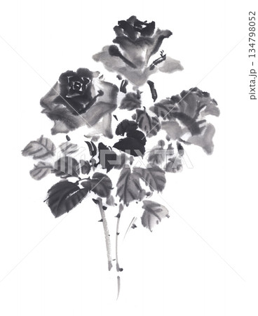 モノトーンで描いたバラの花 134798052