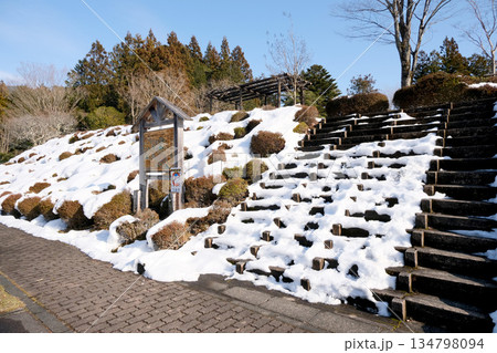 岐阜県下呂市_峰一合遺跡2_2025年2月 134798094
