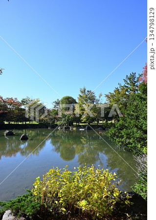 秋の濁川公園で見られる池の風景(新潟県新潟市) 秋の濁川公園で見られる池の風景(新潟県新潟市) 134798129