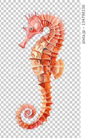 美麗的海馬水彩插畫，白色背景，橙色海洋生物設計元素 134798130
