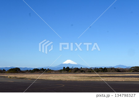冨士山遠望　大島から 134798327