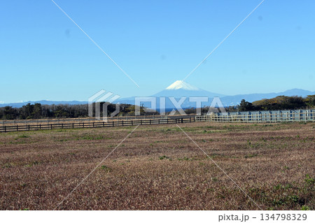 伊豆大島空港からの富士山 134798329