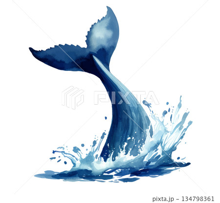 白背景に隔離されたクジラの尾びれの水彩画イラスト、水しぶきを上げるダイナミックな海洋生物 134798361