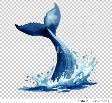 水彩風格的鯨魚尾鰭插圖，白色背景，動態海洋生物濺起水花 134798361