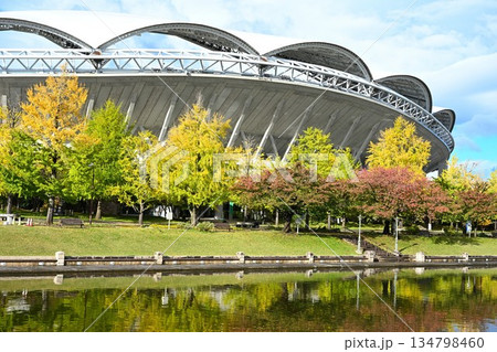 秋晴れの下に広がるビッグスワンとカナール（新潟県新潟市） 134798460