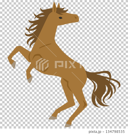 Illustration of a horse standing up Illustration of a horse standing up 134798535