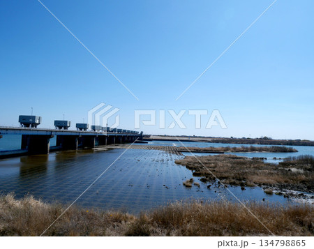 馬飼大橋7_2025年3月 馬飼大橋7_2025年3月 134798865