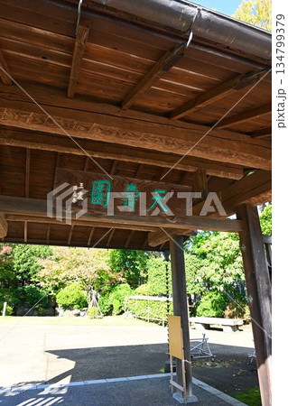 中国庭園天寿園と秋晴れの景観(新潟県新潟市) 中国庭園天寿園と秋晴れの景観(新潟県新潟市) 134799379