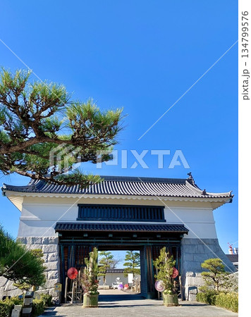 正月飾り(門松)が飾られた青空の岡崎城大手門〈岡崎城公園/愛知県岡崎市〉 134799576