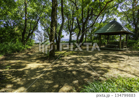 岡豊城跡　本丸　二ノ段　高知県南国市 134799883