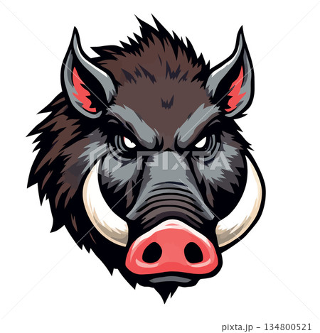 Vsai wild boar head mascot vector illustration expressing aggression Vsai wild boar head mascot vector illustration expressing aggression 134800521