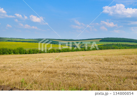 Scenic agricultural landscape with harvested wheat field and green hills. Scenic agricultural landscape with harvested wheat field and green hills. 134800854