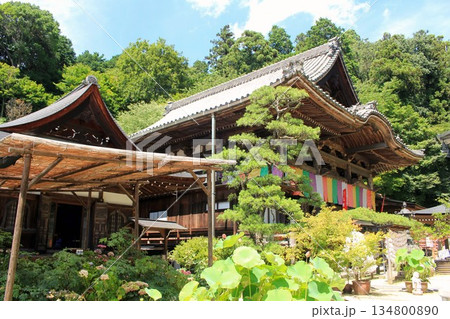 岡寺・本堂 岡寺・本堂 134800890