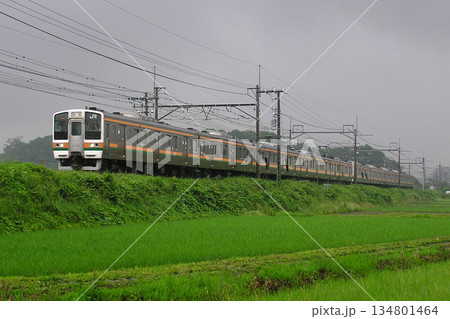 ［JU］宇都宮線211系電車（10両編成：グリーン車無し） 134801464