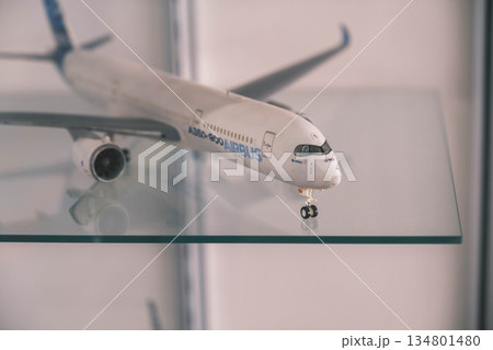 [関西国際空港]飛行機のかっこいい模型 134801480