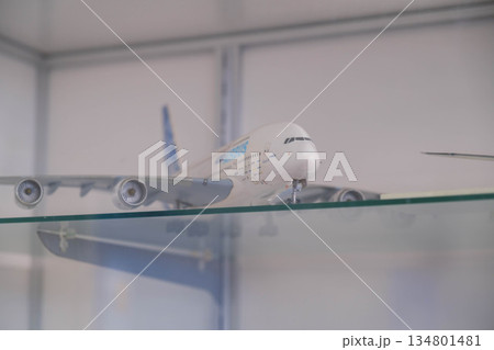 [関西国際空港]飛行機のかっこいい模型 134801481