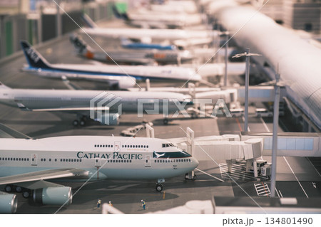 [関西国際空港]飛行機のかっこいい模型 134801490