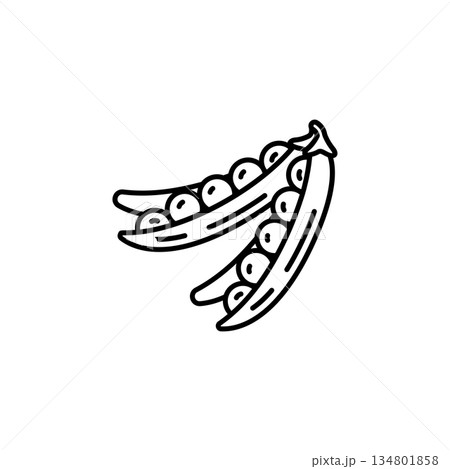 peas vector icon. Vegetable icon line style. perfect use for logo, presentation, website, and more. modern icon design outline style 134801858