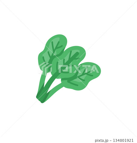 spinach vector icon. Vegetable icon solid style. perfect use for logo, presentation, website, and more. modern icon design glyph style spinach vector icon. Vegetable icon solid style. perfect use for logo, presentation, website, and more. modern icon design glyph style 134801921