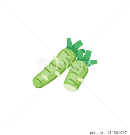 wasabi vector icon. Vegetable icon solid style. perfect use for logo, presentation, website, and more. modern icon design glyph style 134801927
