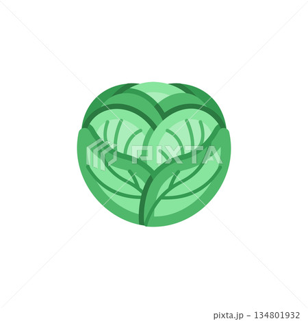 cabbage vector icon. Vegetable icon solid style. perfect use for logo, presentation, website, and more. modern icon design glyph style 134801932