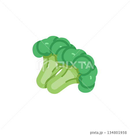 broccoli vector icon. Vegetable icon solid style. perfect use for logo, presentation, website, and more. modern icon design glyph style 134801938