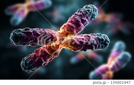 暗背景に浮かぶ染色体、右側に文字入れ可能なサイエンス素材 暗背景に浮かぶ染色体、右側に文字入れ可能なサイエンス素材 134801947