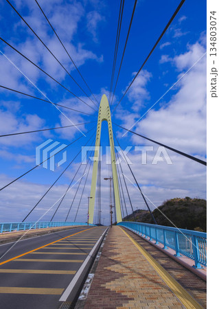 [和歌山マリーナシティ]大きな橋・サンブリッジ 134803074