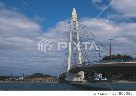 [和歌山マリーナシティ]大きな橋・サンブリッジ 134803083