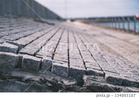 [和歌山マリーナシティ]田舎町のリゾートの風景 134803187