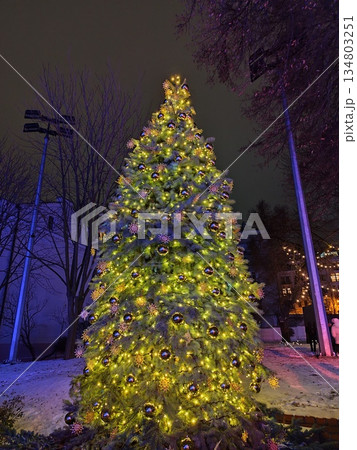 Christmas tree lights up at night. Decorations garland and scarf balls. Winter snow on the street Christmas tree lights up at night. Decorations garland and scarf balls. Winter snow on the street 134803251