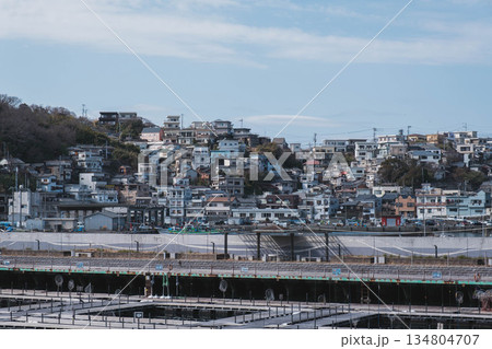 [雑賀崎アマルフィ]日本のアマルフィと呼ばれるノスタルジックな雰囲気の港町の風景 134804707