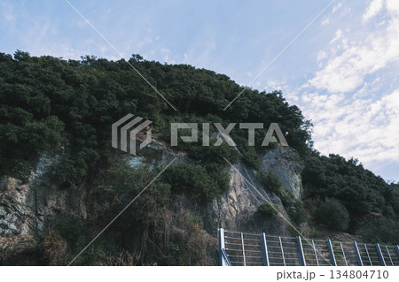 [雑賀崎アマルフィ]日本のアマルフィと呼ばれるノスタルジックな雰囲気の港町の風景 134804710