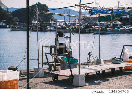 [雑賀崎アマルフィ]日本のアマルフィと呼ばれるノスタルジックな雰囲気の港町の風景 134804766